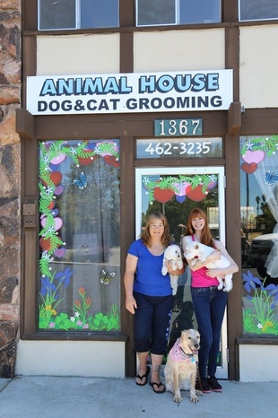About us - Animal House grooming